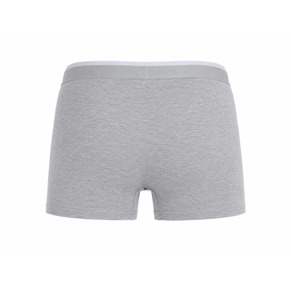 Donkshot Men's Anatomical Briefs — Gray