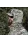 F-Lex Cloud-Tac Multicam Windbreaker