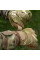 M-Tac A30 Multicam Gloves