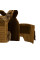 SPECPROM WARMOR Gen.5 V2 Plate Carrier +3 AK Mag Pouches — Coyote