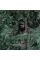 COMBATANT Ghostcover Tactical Poncho – Predator